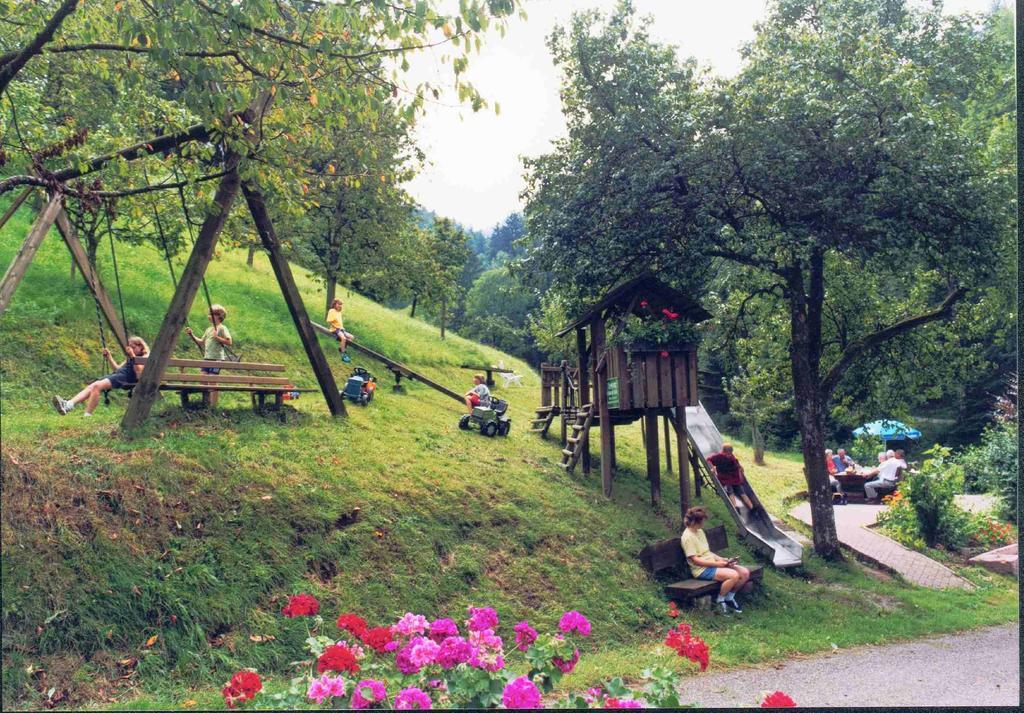 Spinnertonihof Бад-Петерсталь-Грисбах Экстерьер фото